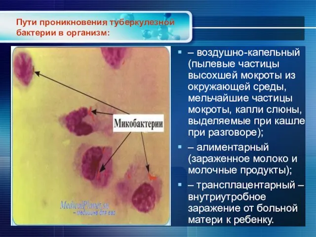 Пути проникновения туберкулезной бактерии в организм: – воздушно-капельный (пылевые частицы высохшей мокроты