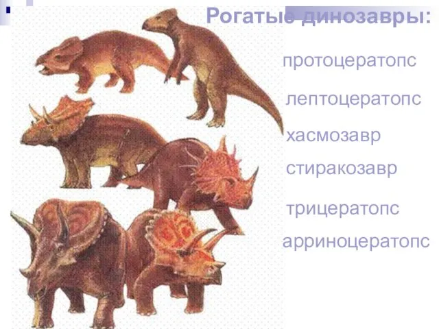 Рогатые динозавры: протоцератопс лептоцератопс хасмозавр стиракозавр трицератопс арриноцератопс