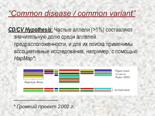 “Common disease / common variant” CD/CV Hypothesis: Частые аллели (>1%) составляют значительную