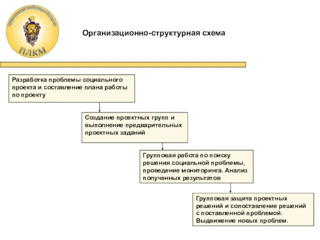 Организационно-структурная схема Разработка проблемы социального проекта и составление плана работы по проекту