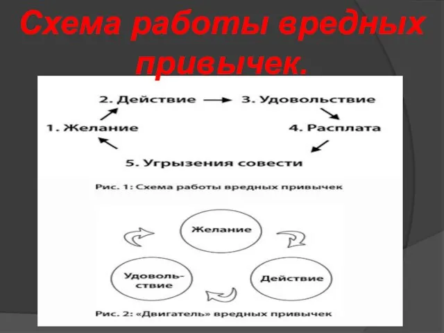 Схема работы вредных привычек.