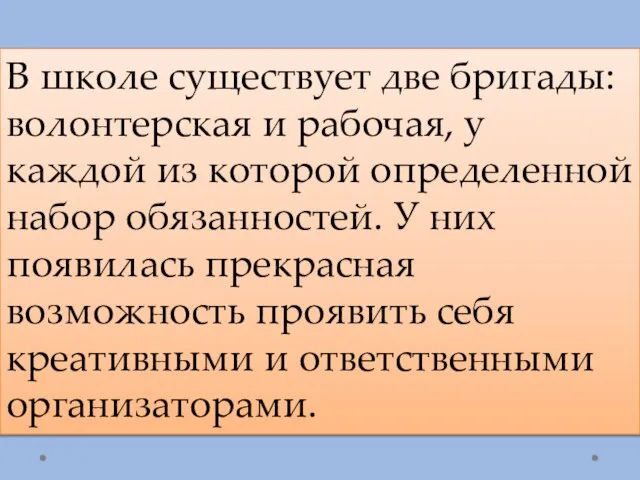 В школе существует две бригады: волонтерская и рабочая, у каждой из которой