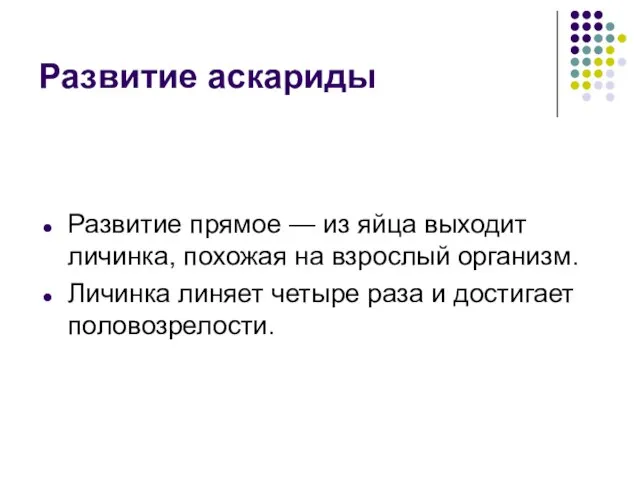 Развитие аскариды Развитие прямое — из яйца выходит личинка, похожая на взрослый