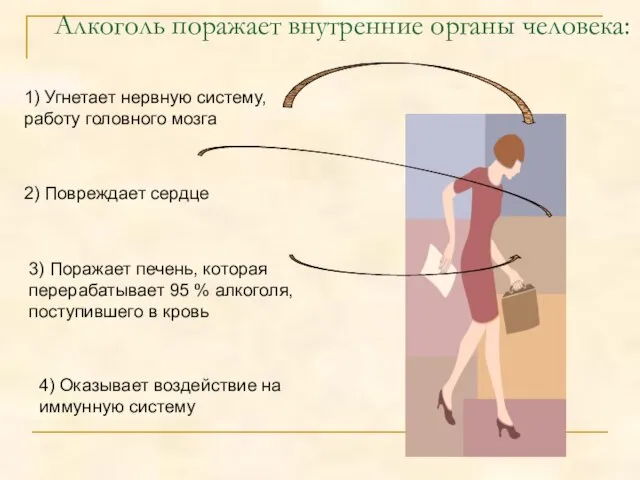 Алкоголь поражает внутренние органы человека: 1) Угнетает нервную систему, работу головного мозга