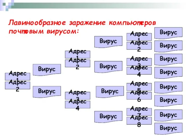 Лавинообразное заражение компьютеров почтовым вирусом: Адрес1 Адрес2 Адрес3 Адрес4 Адрес1 Адрес2 Адрес7