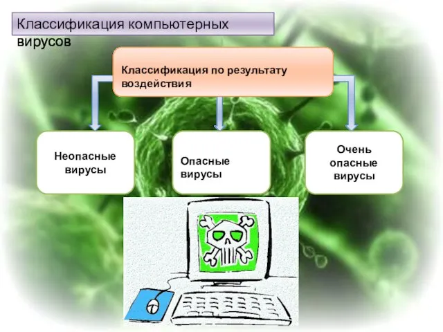 Классификация компьютерных вирусов Классификация по результату воздействия Неопасные вирусы Очень опасные вирусы Опасные вирусы