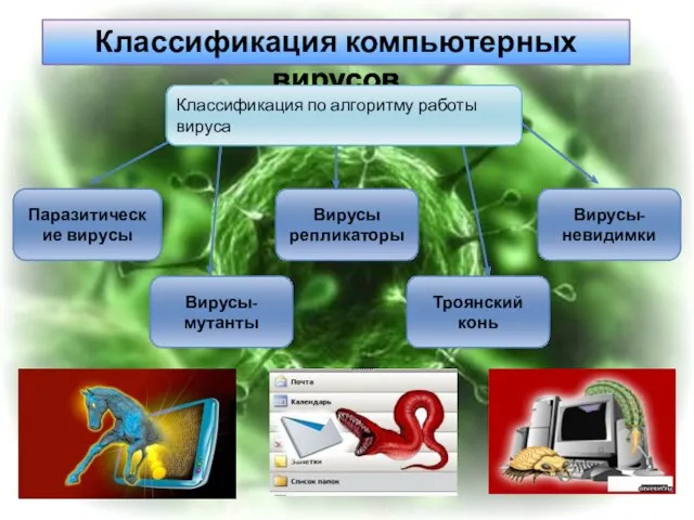 Классификация компьютерных вирусов Классификация по алгоритму работы вируса Паразитические вирусы Вирусы- мутанты