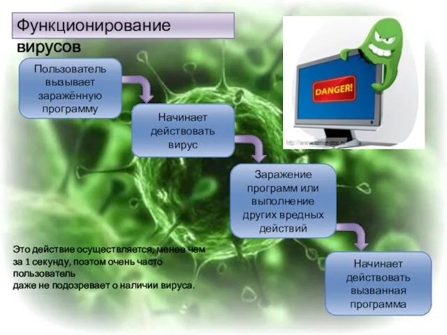 Функционирование вирусов Начинает действовать вызванная программа Пользователь вызывает заражённую программу Заражение программ