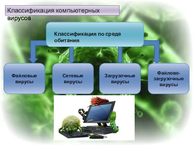 Классификация компьютерных вирусов Загрузочные вирусы Сетевые вирусы Файловые вирусы Файлово-загрузочные вирусы Классификация по среде обитания