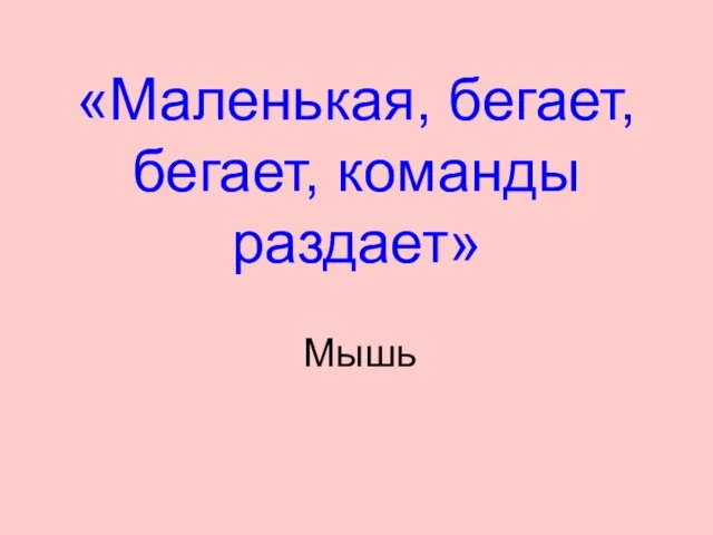 «Маленькая, бегает, бегает, команды раздает» Мышь