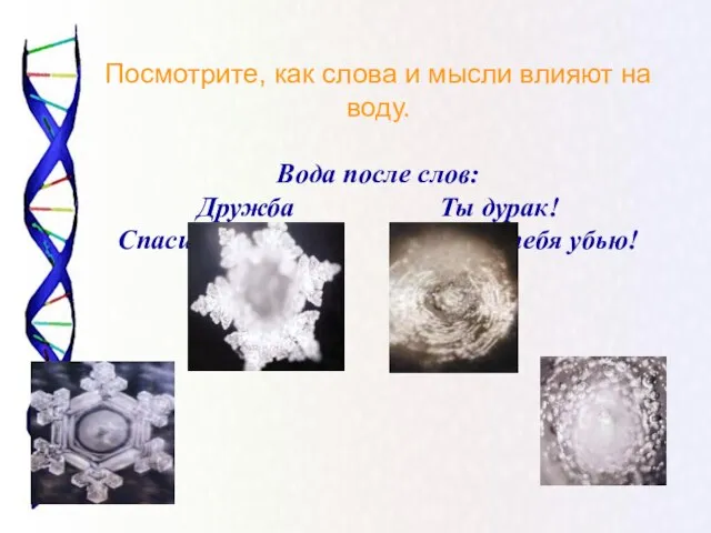 Посмотрите, как слова и мысли влияют на воду. Вода после слов: Дружба