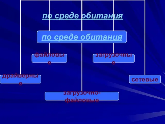 по среде обитания