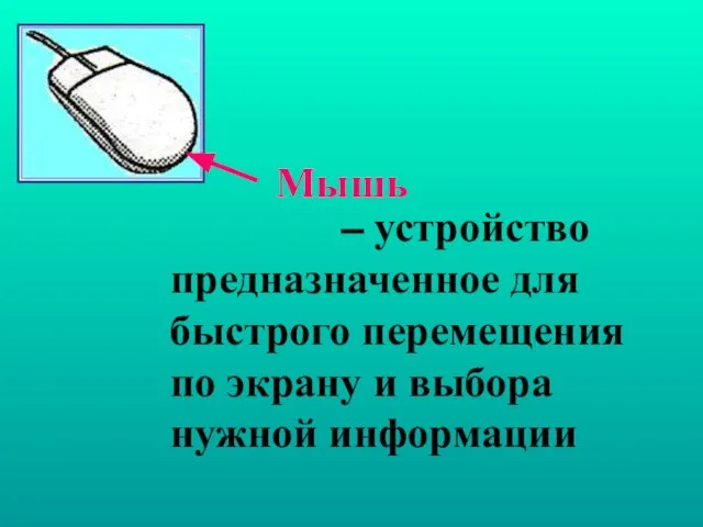 – устройство предназначенное для быстрого перемещения по экрану и выбора нужной информации Мышь