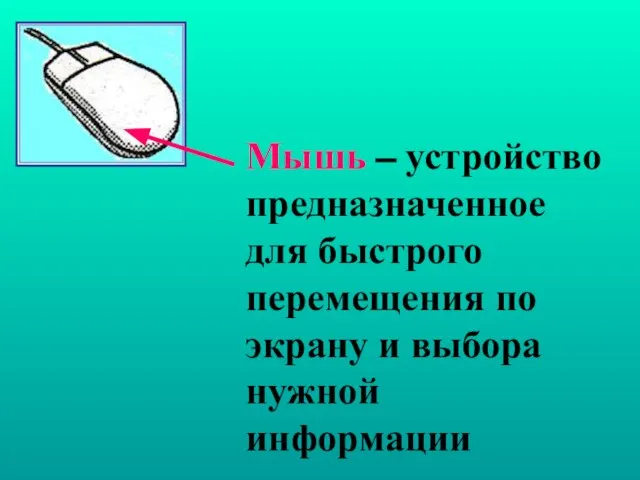 Мышь – устройство предназначенное для быстрого перемещения по экрану и выбора нужной информации