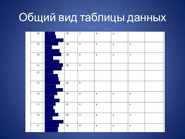 Общий вид таблицы данных