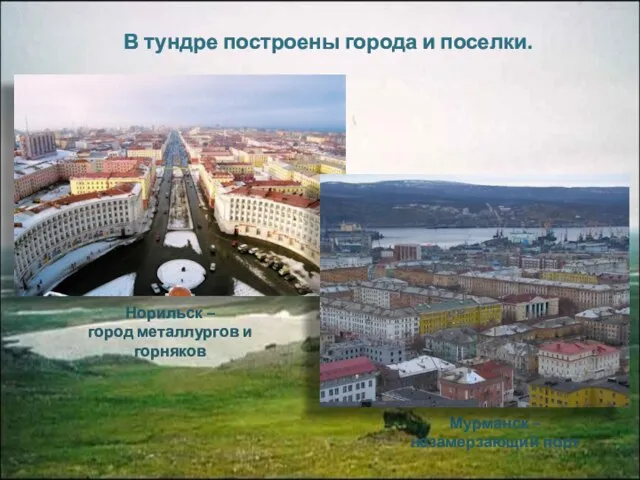 В тундре построены города и поселки. Мурманск – незамерзающий порт Норильск – город металлургов и горняков