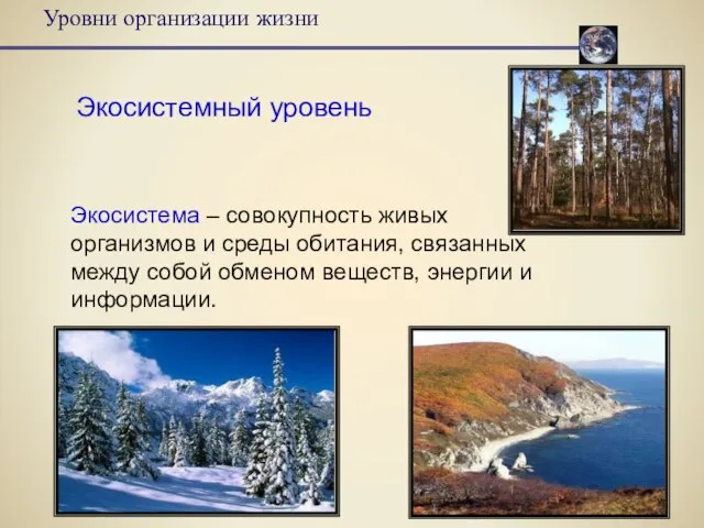 Уровни организации жизни Экосистемный уровень Экосистема – совокупность живых организмов и среды