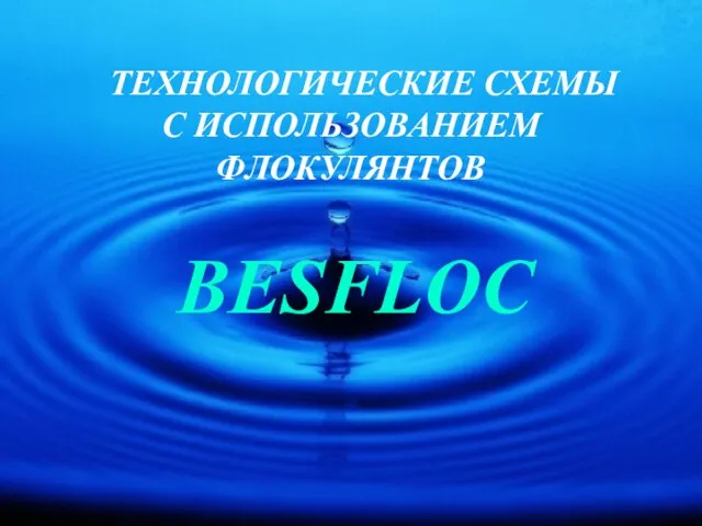 ТЕХНОЛОГИЧЕСКИЕ СХЕМЫ С ИСПОЛЬЗОВАНИЕМ ФЛОКУЛЯНТОВ BESFLOC