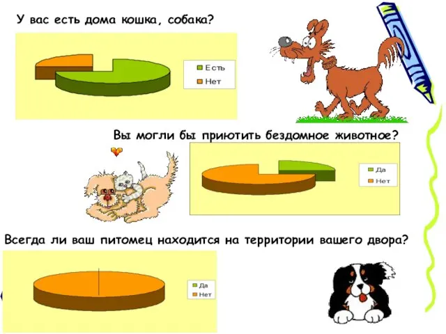 У вас есть дома кошка, собака? Вы могли бы приютить бездомное животное?