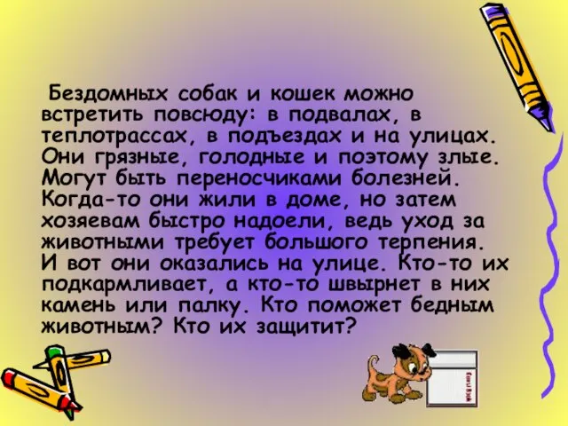 Бездомных собак и кошек можно встретить повсюду: в подвалах, в теплотрассах, в