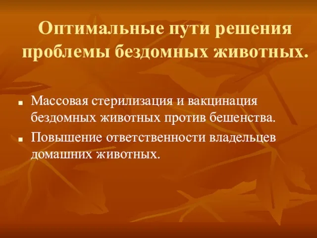 Оптимальные пути решения проблемы бездомных животных. Массовая стерилизация и вакцинация бездомных животных