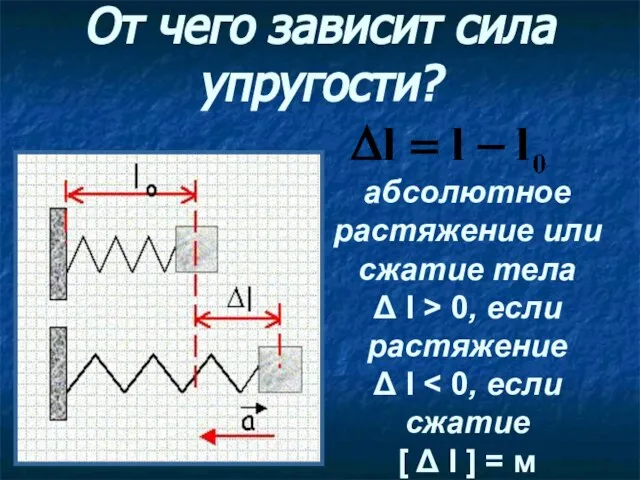 От чего зависит сила упругости? абсолютное растяжение или сжатие тела Δ l