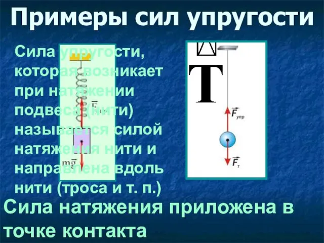 Примеры сил упругости Сила натяжения приложена в точке контакта Сила упругости, которая