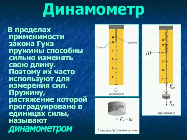 Динамометр В пределах применимости закона Гука пружины способны сильно изменять свою длину.