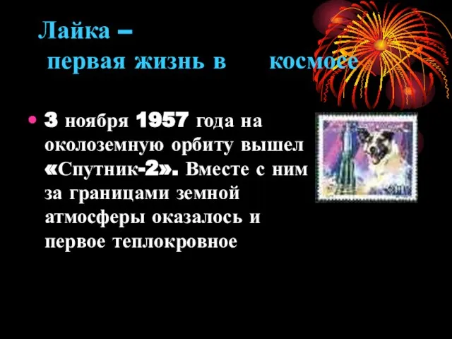 Лайка – первая жизнь в космосе 3 ноября 1957 года на околоземную