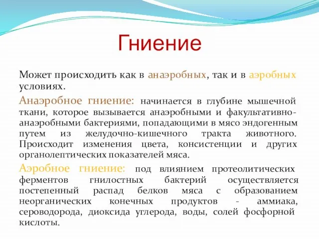 Гниение Может происходить как в анаэробных, так и в аэробных условиях. Анаэробное