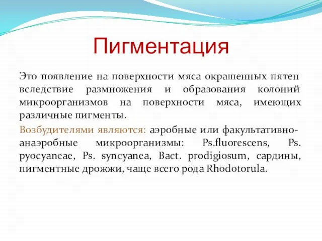 Пигментация Это появление на поверхности мяса окрашенных пятен вследствие размножения и образования