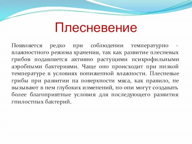 Плесневение Появляется редко при соблюдении температурно - влажностного режима хранения, так как