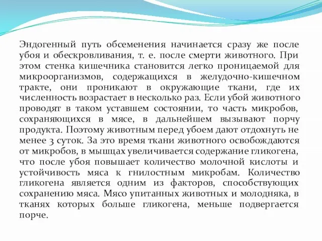 Эндогенный путь обсеменения начинается сразу же после убоя и обескровливания, т. е.