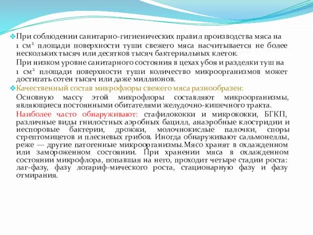 При соблюдении санитарно-гигиенических правил производства мяса на 1 см2 площади поверхности туши