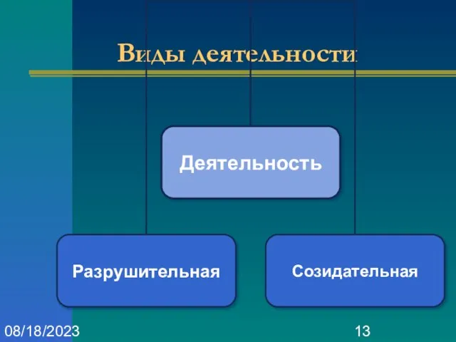 08/18/2023 Виды деятельности