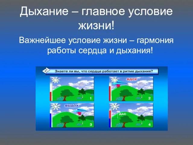 Дыхание – главное условие жизни! Важнейшее условие жизни – гармония работы сердца и дыхания!