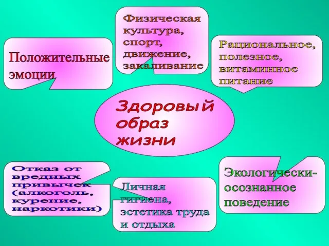 Здоровый образ жизни Физическая культура, спорт, движение, закаливание Рациональное, полезное, витаминное питание