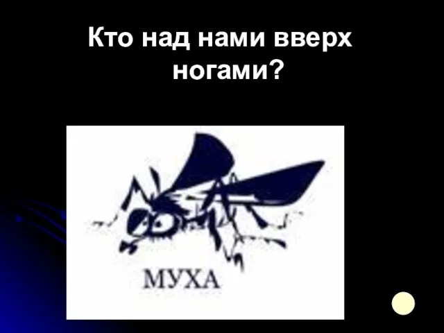 Кто над нами вверх ногами?