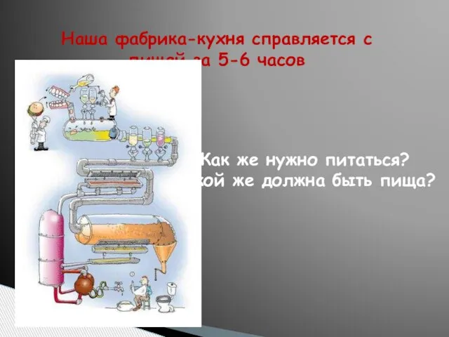 Наша фабрика-кухня справляется с пищей за 5-6 часов Как же нужно питаться?