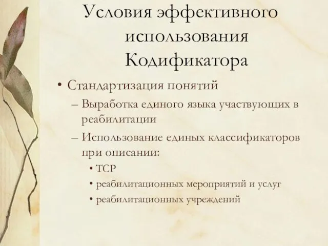 Стандартизация понятий Выработка единого языка участвующих в реабилитации Использование единых классификаторов при