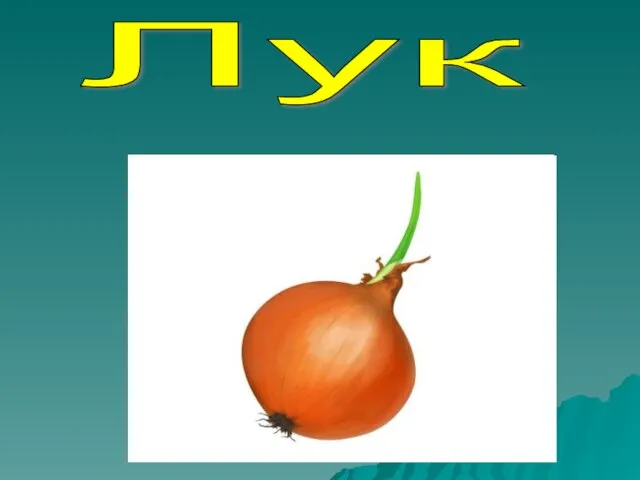 Лук