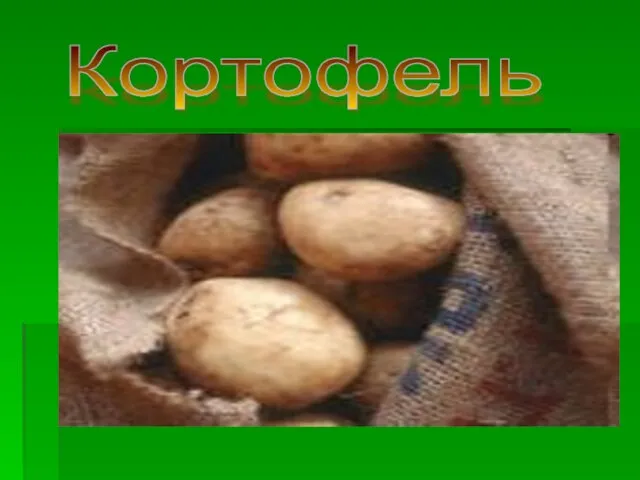 Кортофель