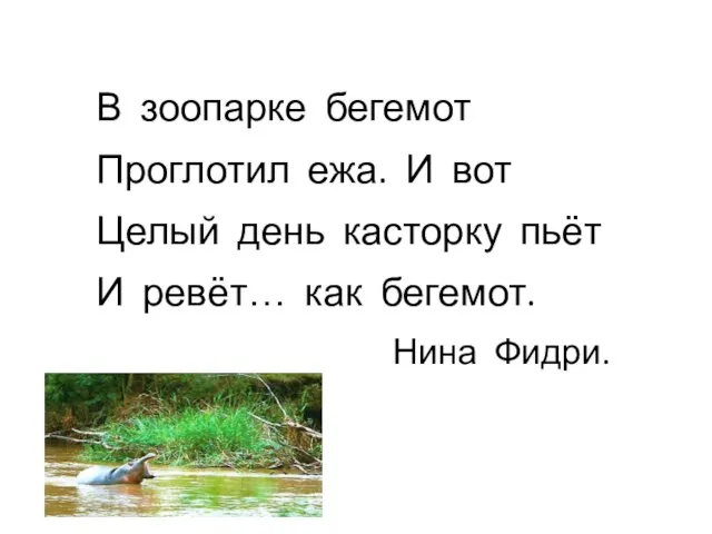 В зоопарке бегемот Проглотил ежа. И вот Целый день касторку пьёт И