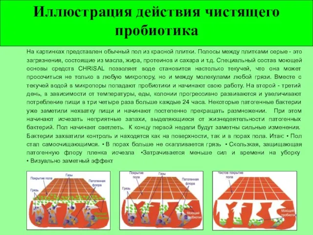 Иллюстрация действия чистящего пробиотика На картинках представлен обычный пол из красной плитки.