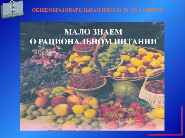 ОБЩЕОБРАЗОВАТЕЛЬНАЯ ШКОЛА № 182 г. МИНСК МАЛО ЗНАЕМ О РАЦИОНАЛЬНОМ ПИТАНИИ