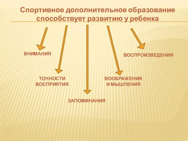 Спортивное дополнительное образование способствует развитию у ребенка ВНИМАНИЯ ТОЧНОСТИ ВОСПРИЯТИЯ ЗАПОМИНАНИЯ ВООБРАЖЕНИЯ И МЫШЛЕНИЯ ВОСПРОИЗВЕДЕНИЯ