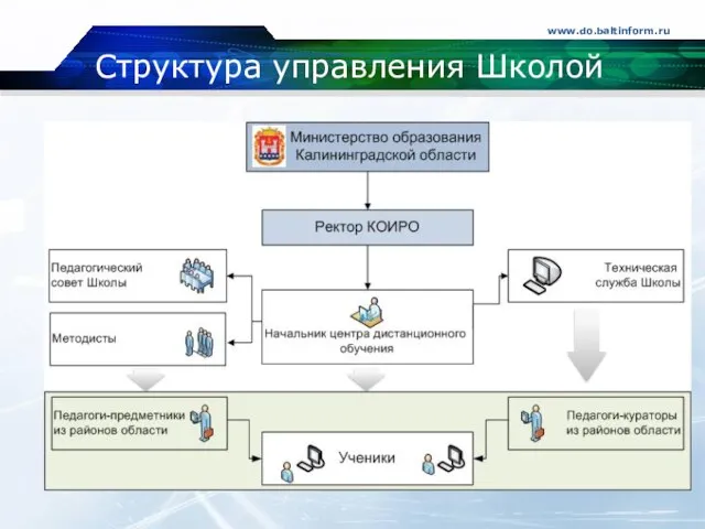 Структура управления Школой www.do.baltinform.ru