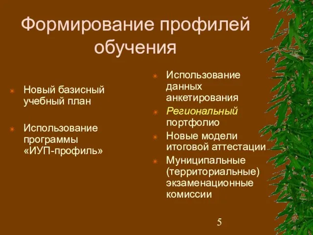 Формирование профилей обучения Новый базисный учебный план Использование программы «ИУП-профиль» Использование данных