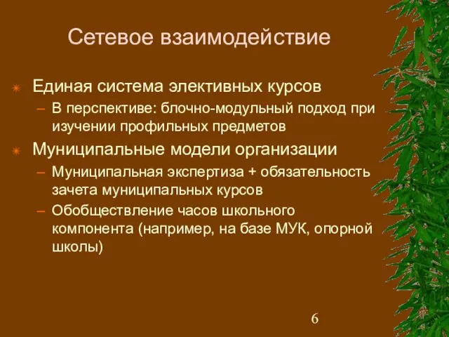 Сетевое взаимодействие Единая система элективных курсов В перспективе: блочно-модульный подход при изучении