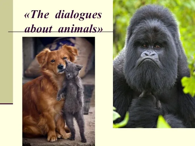 «The dialogues about animals»